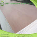 3mm 5mm 9mm 12mm 15mm 18mm Hardwood Commercial Plywood with Competitive Price